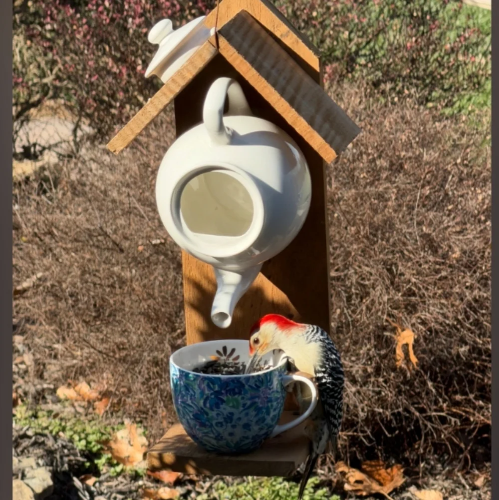 Rustic Wooden Handmade Bird Feeder Penguin With The Birds